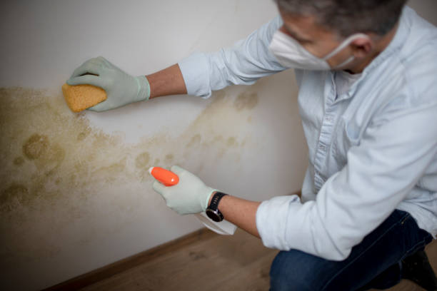 Water Damage Restoration in Pinckneyville, IL