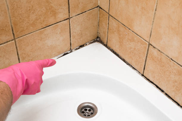 Best Mold Testing  in Pinckneyvle, IL